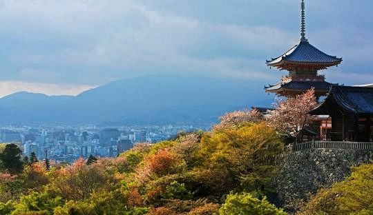 Exploring the Ancient Temples of Kyoto